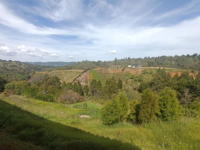 Finca en  Arriendo en El salado, Guarne - Imagen 1