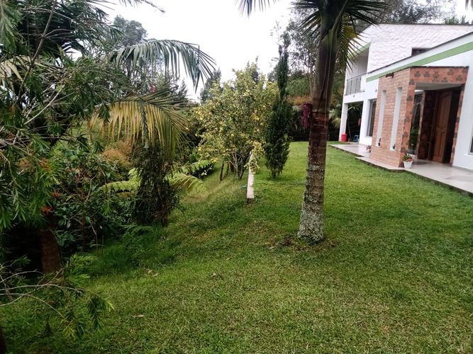 Finca en  Venta en El carmen de viboral - Miniatura 3