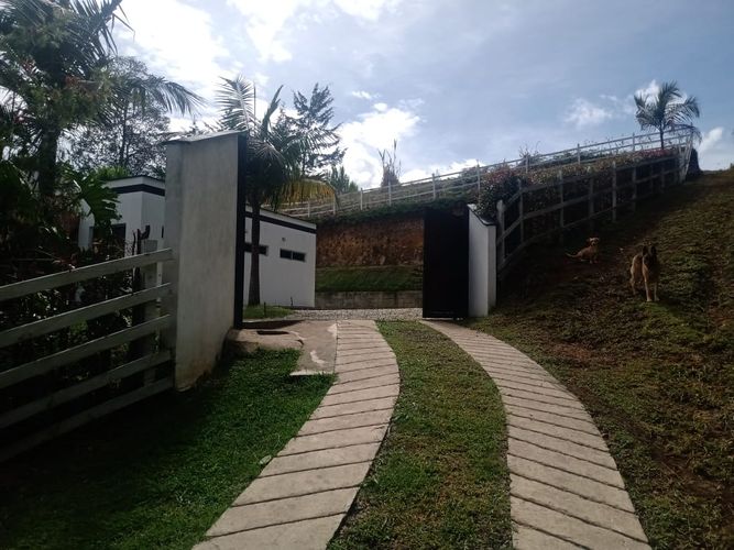 Finca en  Venta en El carmen de viboral - Miniatura 14