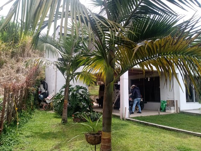 Finca en  Venta en El carmen de viboral - Miniatura 17