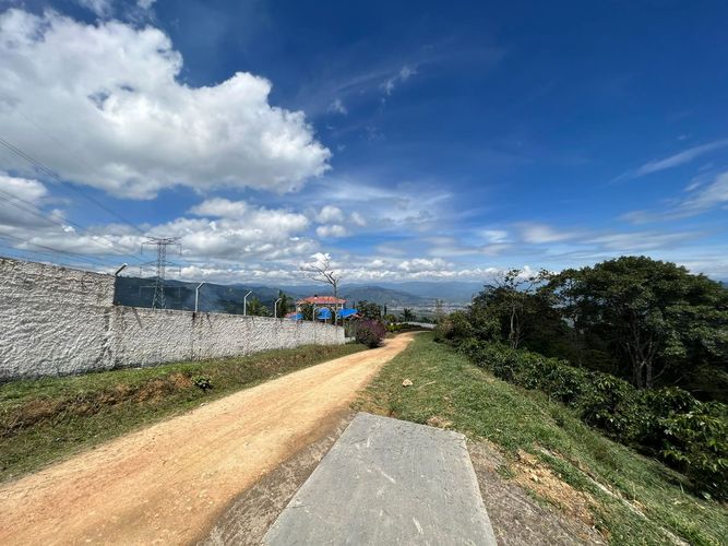 Finca en  Venta en Centro, Pitalito - Miniatura 7