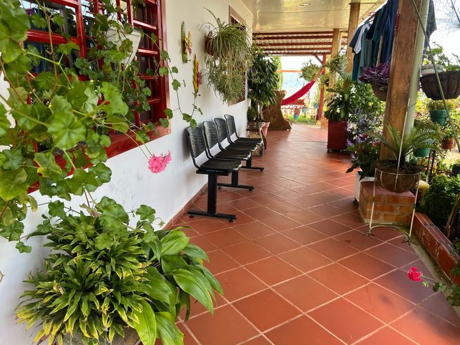 Finca en  Venta en Centro, Pitalito - Miniatura 9