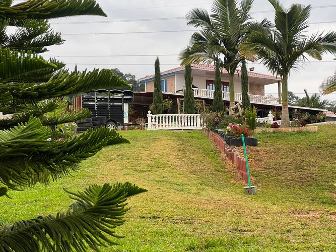 Finca en  Venta en Centro, Pitalito - Miniatura 16