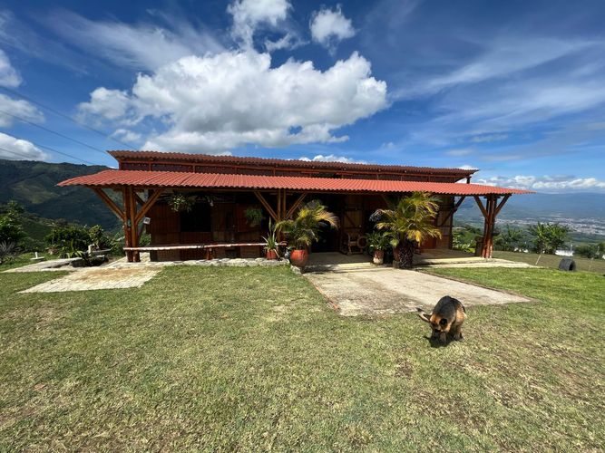 Finca en  Venta en Centro, Pitalito - Miniatura 21
