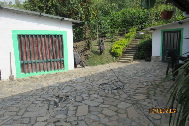 Finca en  Venta en La vega - Miniatura 9