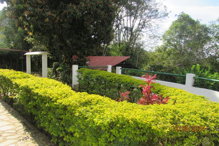 Finca en  Venta en La vega - Miniatura 13