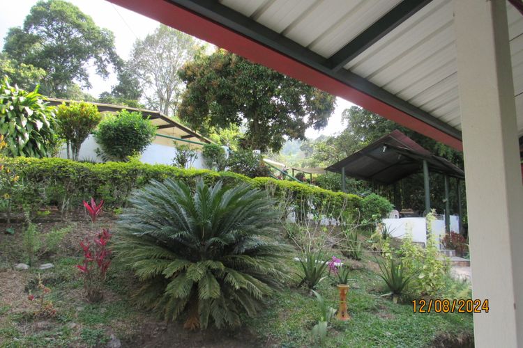 Finca en  Venta en La vega - Miniatura 16