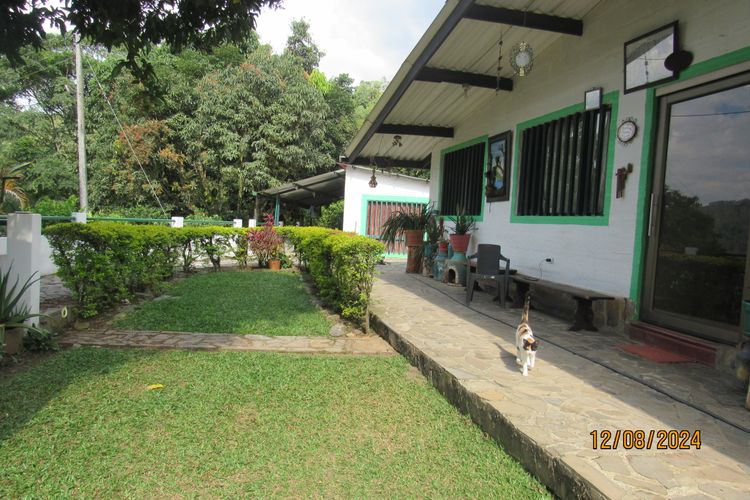 Finca en  Venta en La vega - Miniatura 18