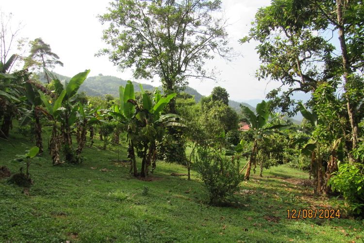 Finca en  Venta en La vega - Miniatura 21