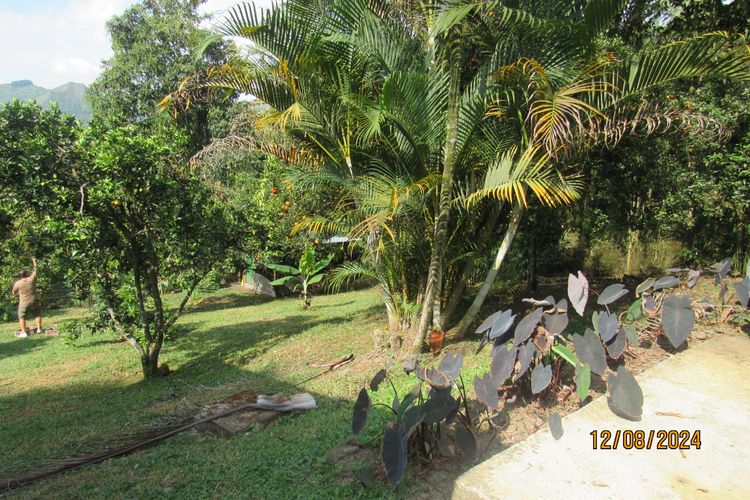 Finca en  Venta en La vega - Miniatura 25