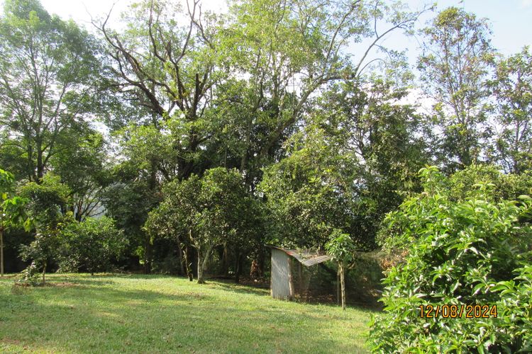 Finca en  Venta en La vega - Miniatura 26