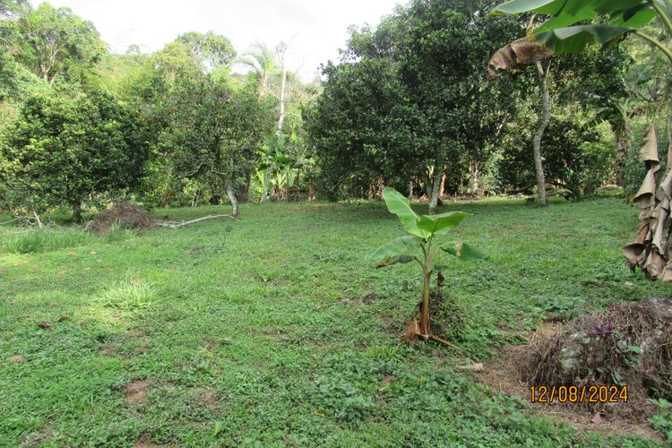 Finca en  Venta en La vega - Miniatura 27