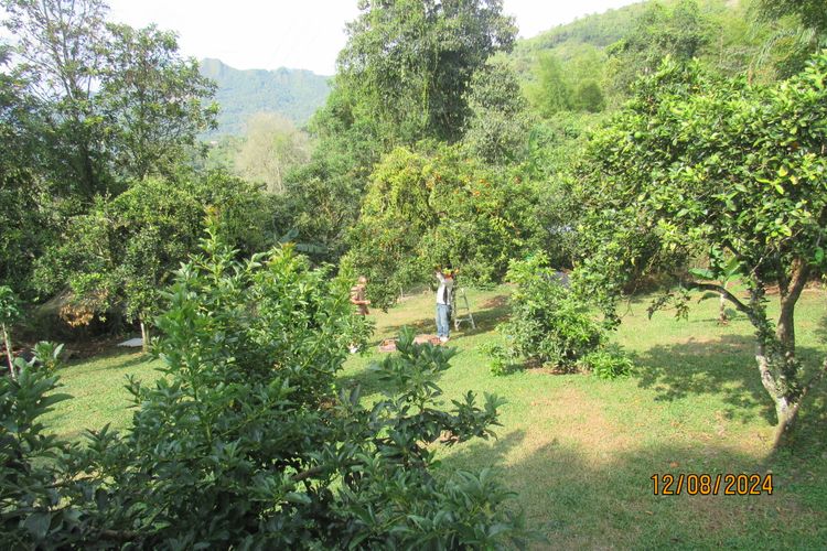 Finca en  Venta en La vega - Miniatura 30
