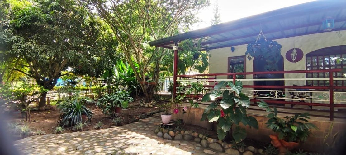 Finca en  Venta en Pedregal, Rivera - Miniatura 3