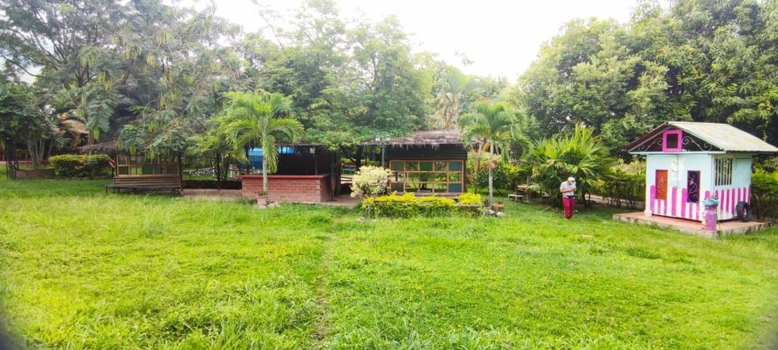 Finca en  Venta en Pedregal, Rivera - Miniatura 4
