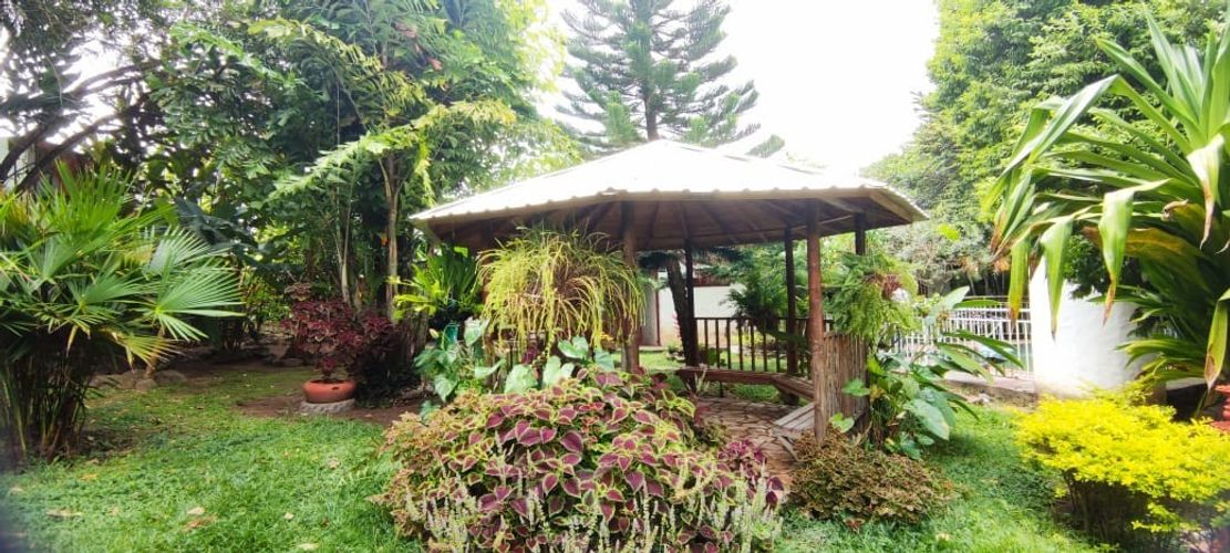 Finca en  Venta en Pedregal, Rivera - Miniatura 7