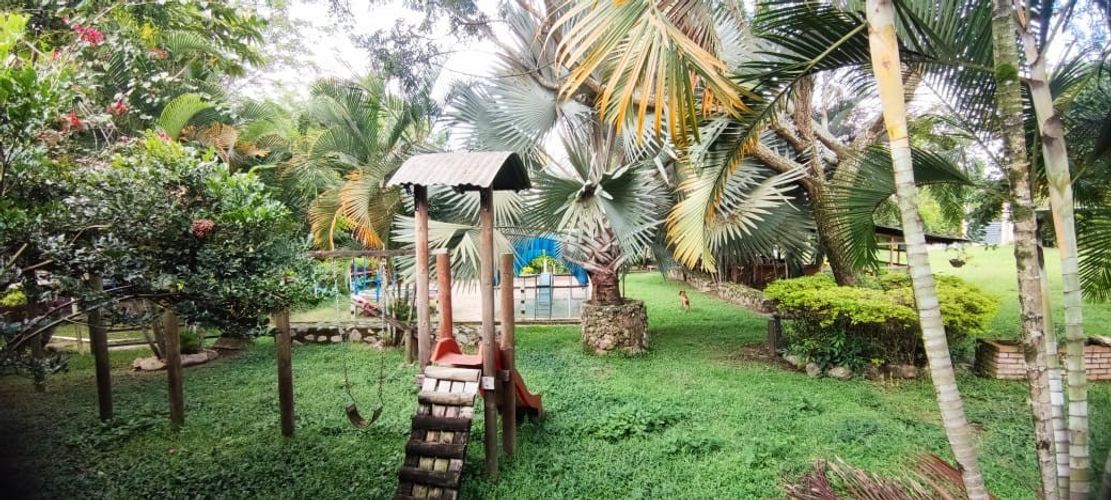 Finca en  Venta en Pedregal, Rivera - Miniatura 9