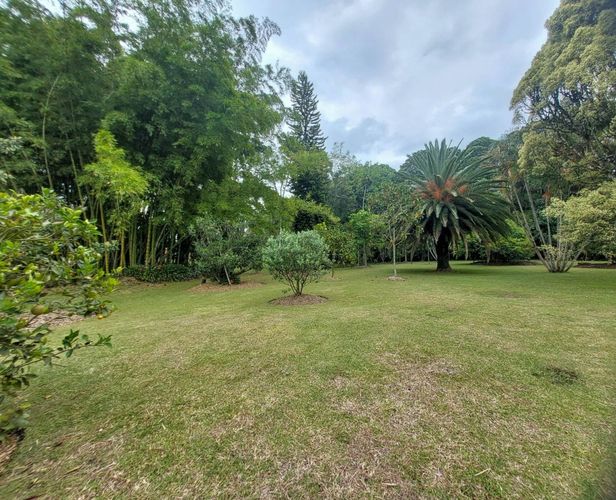 Finca en  Arriendo en Llano Grande, Rionegro - Miniatura 7