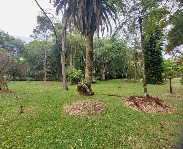 Finca en  Arriendo en Llano Grande, Rionegro - Miniatura 23