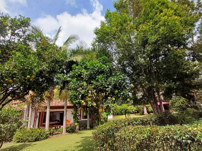 Finca en  Arriendo en Llano Grande, Rionegro - Miniatura 3