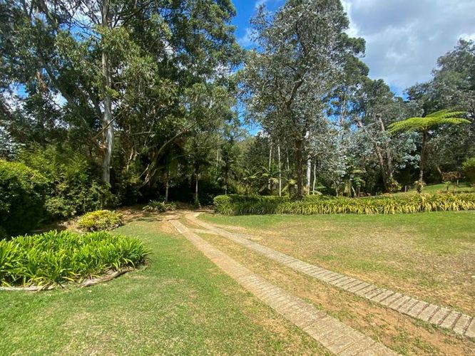 Finca en  Arriendo en Playa rica-rancheria, Rionegro - Miniatura 6