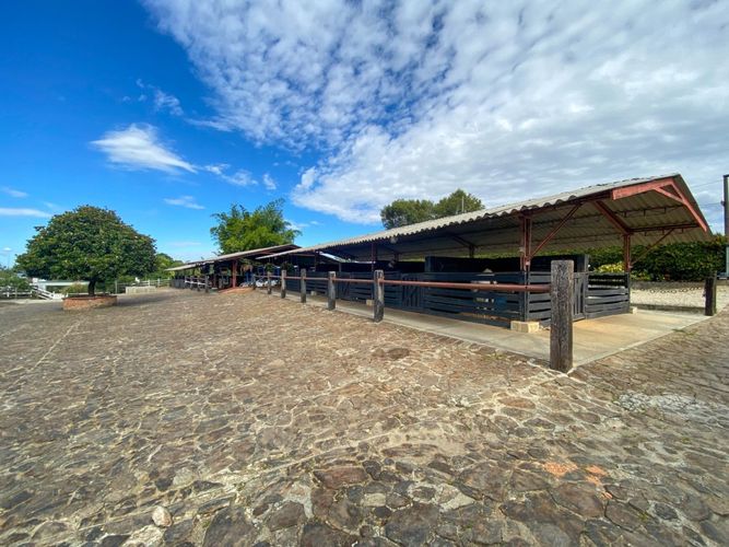 Finca en  Venta en El porvenir, Rionegro - Miniatura 3