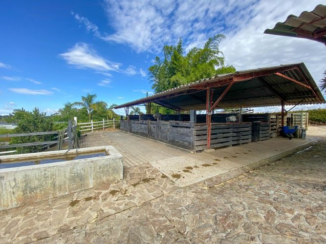 Finca en  Venta en El porvenir, Rionegro - Miniatura 18