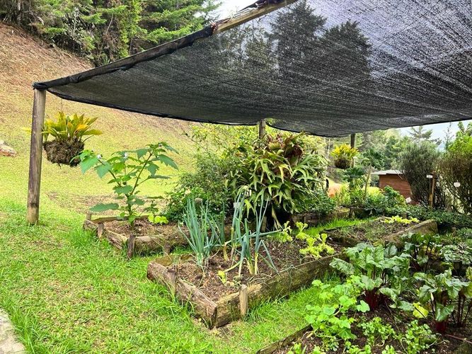 Finca en  Venta en El porvenir, Rionegro - Miniatura 20