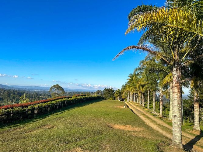 Finca en  Arriendo en Llano Grande, Rionegro - Miniatura 9