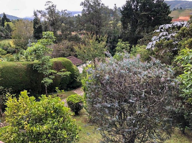 Finca en  Venta en Hojas anchas, Guarne - Miniatura 12