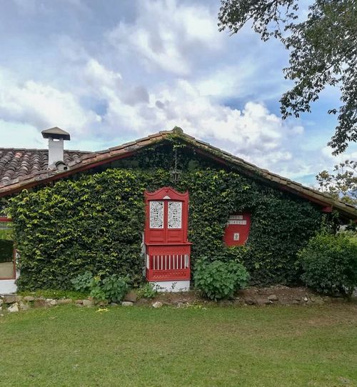 Finca en  Arriendo en El tambo, Rionegro - Miniatura 6