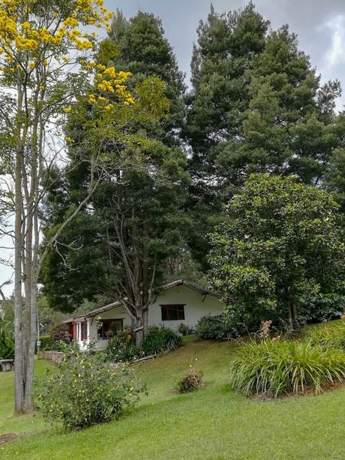 Finca en  Arriendo en El tambo, Rionegro - Miniatura 8