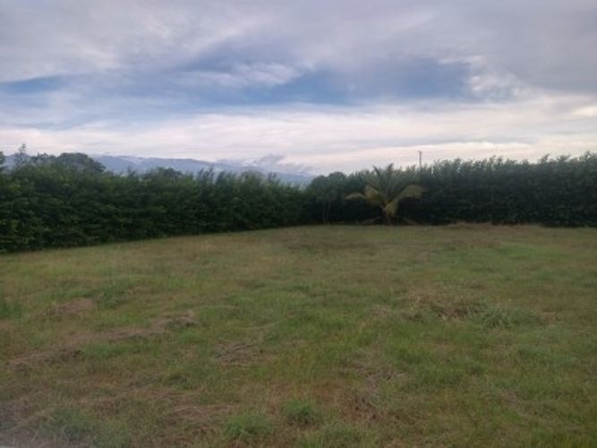 Finca en  Venta en Centro, Valledupar - Miniatura 2