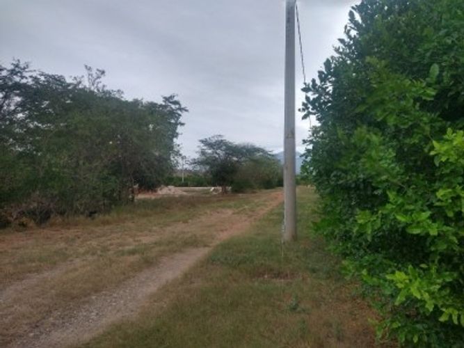 Finca en  Venta en Centro, Valledupar - Miniatura 4