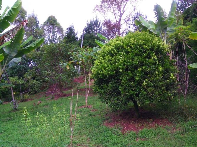 Finca en  Venta en El salado, Guarne - Imagen 1