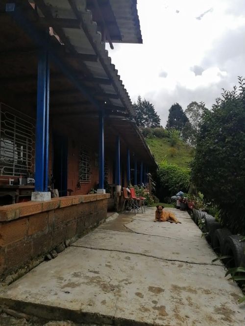 Finca en  Venta en El salado, Guarne - Miniatura 3