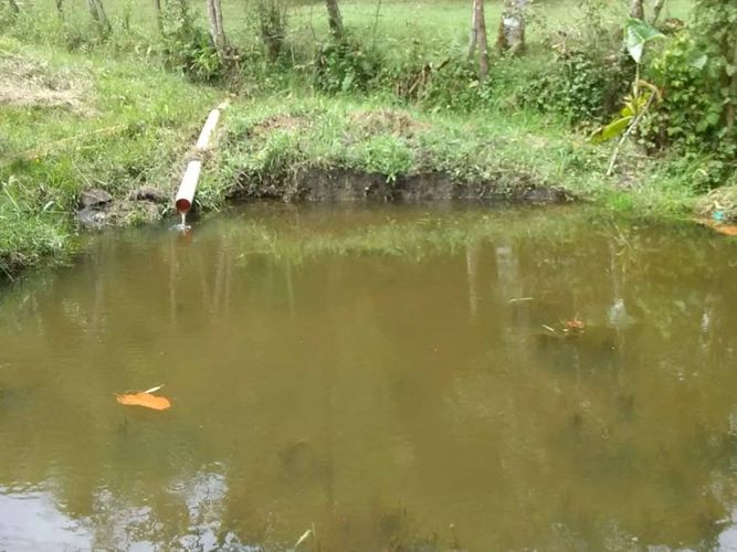 Finca en  Venta en El salado, Guarne - Miniatura 12