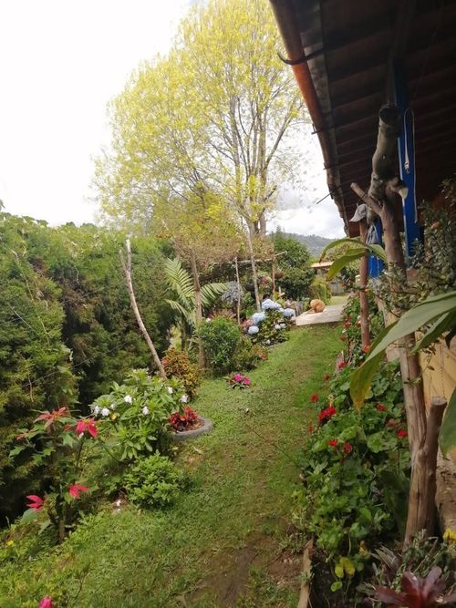 Finca en  Venta en El salado, Guarne - Miniatura 14