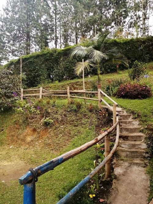 Finca en  Venta en El salado, Guarne - Miniatura 17