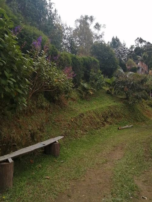 Finca en  Venta en El salado, Guarne - Miniatura 23