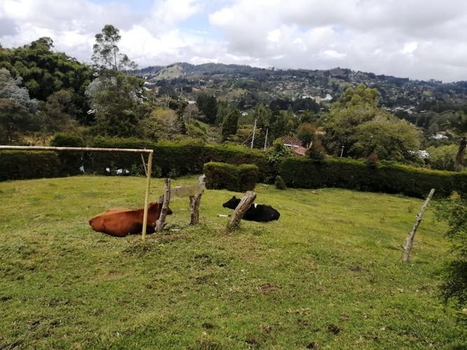 Finca en  Venta en El salado, Guarne - Miniatura 24