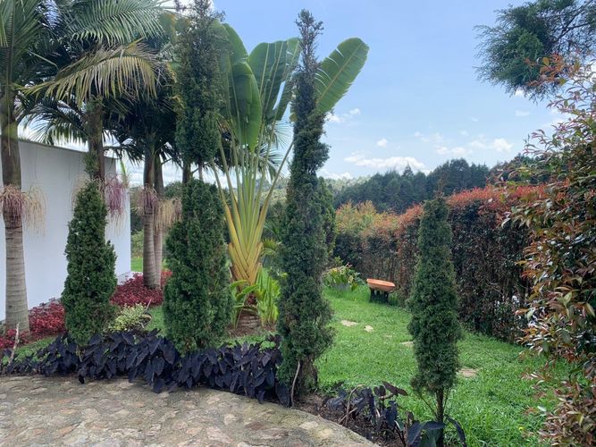 Finca en  Arriendo en Aeropuerto, Rionegro - Miniatura 8