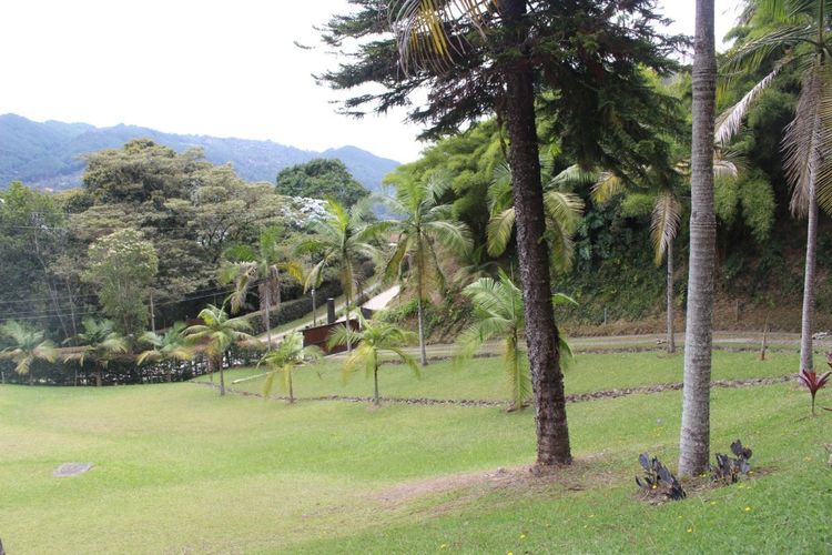 Finca en  Arriendo en Llano Grande, Rionegro - Miniatura 2