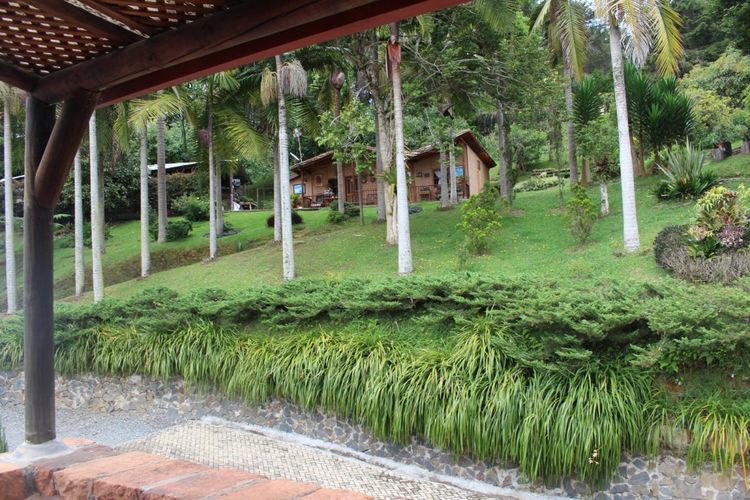 Finca en  Arriendo en Llano Grande, Rionegro - Miniatura 21