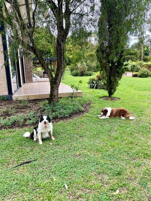 Finca en  Arriendo en Llano Grande, Rionegro - Miniatura 10