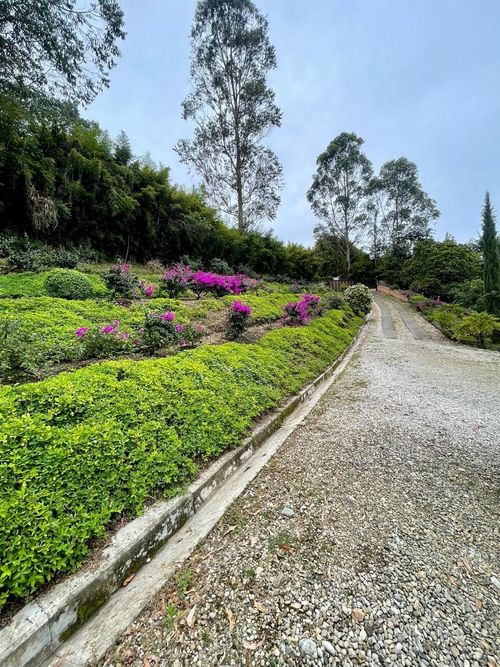 Finca en  Arriendo en Llano Grande, Rionegro - Miniatura 20