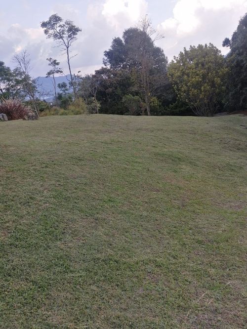 Finca en  Arriendo en El tambo, Abejorral - Miniatura 11