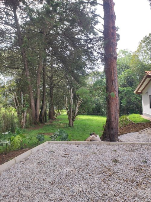 Finca en  Arriendo en Vilachuaga, Rionegro - Miniatura 7