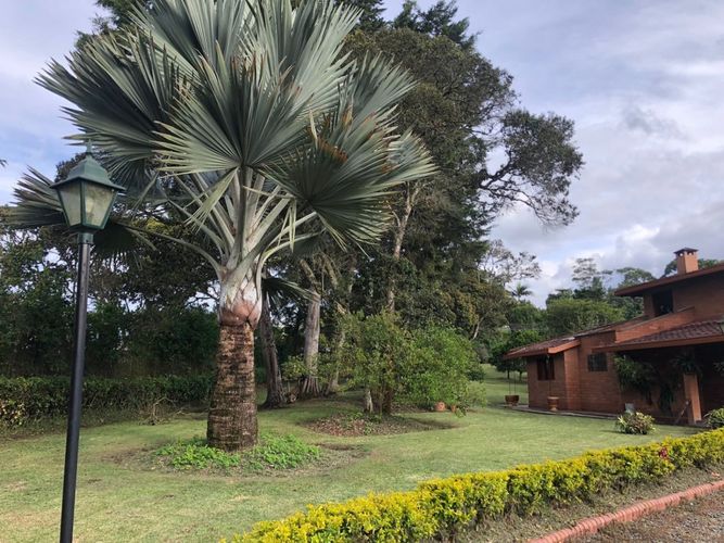 Finca en  Arriendo en El porvenir, Rionegro - Miniatura 6