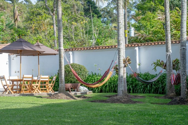 Finca en  Arriendo en Quirama, El carmen de viboral - Miniatura 10